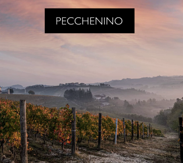 Pecchenino Italian Wine Dinner